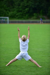 爱游戏体育入口-高校运动训练计划动态调整机制研究，运动训练调控